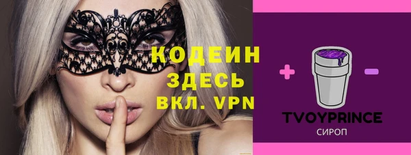 молекула духа Анива